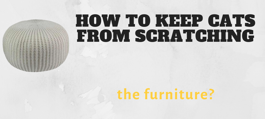 How to keep cats from scratching the furniture?
