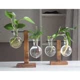 Forbak - Glass Pots And Planters