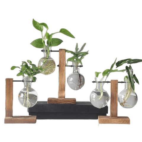 Forbak - Glass Pots And Planters