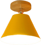 Gatatu Orange Flush Mount Ceiling Light Toronto 69