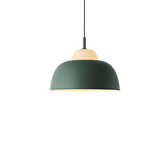 Hanging Light Fixture From Ceiling - Därnär Green