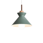 Hanging Light Fixture Hardware - Genomb Green