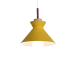 Hanging Light Fixture in Garage - Genomb Orange