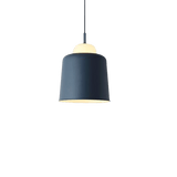 Hanging Light Fixture for Garage - Honall Blue