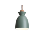 Hanging Lamp Fixture - Namnmy Green