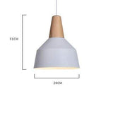 hanging light fixtures pojkeg pink 281